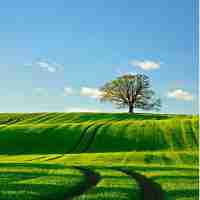 夸‍克‍ai助‍手﻿在‍哪‌